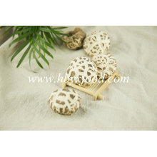 Dried Food White Flower Mushroom